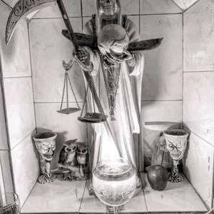 Meet your Posher, Lauro